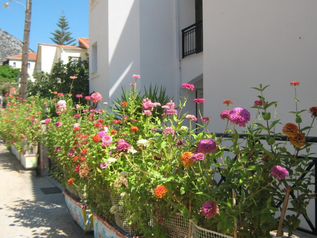 Friderica House Hotell Poros  Rum bild