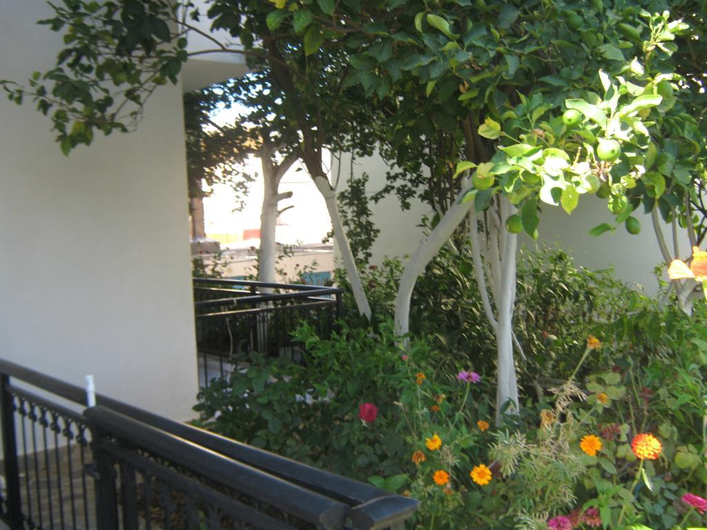 Friderica House Hotell Poros  Rum bild
