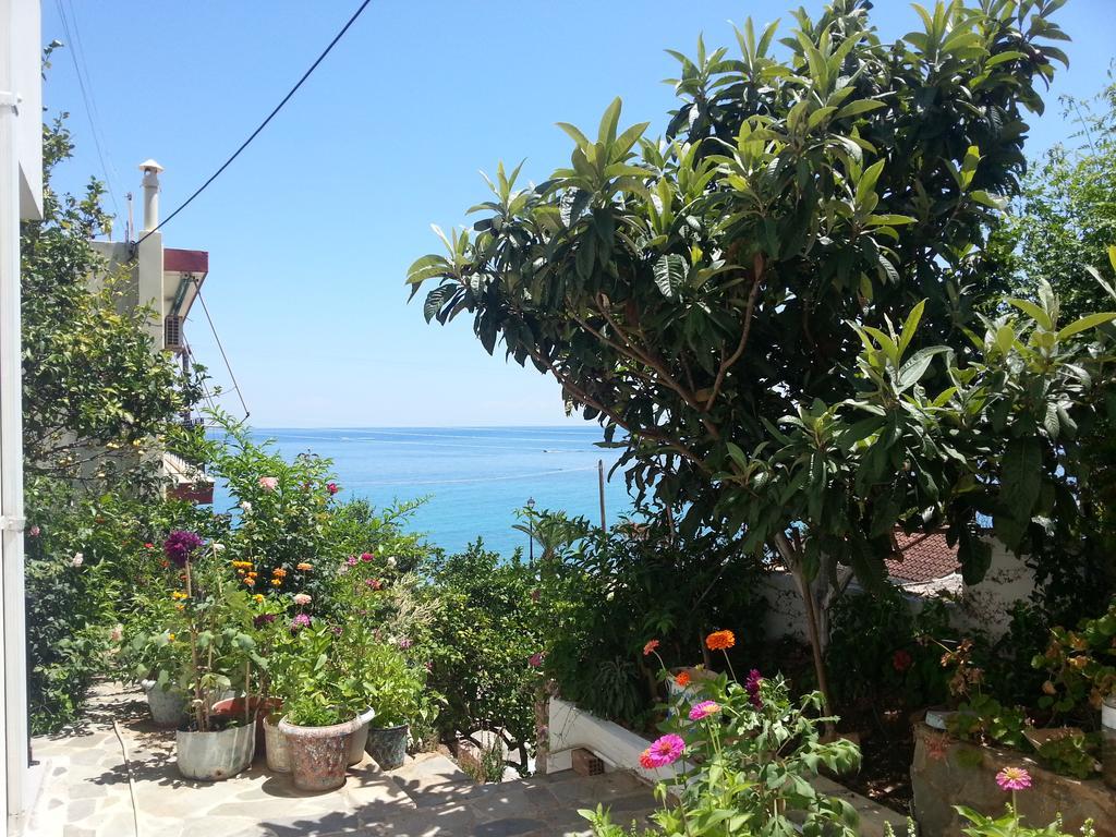 Friderica House Hotell Poros  Exteriör bild